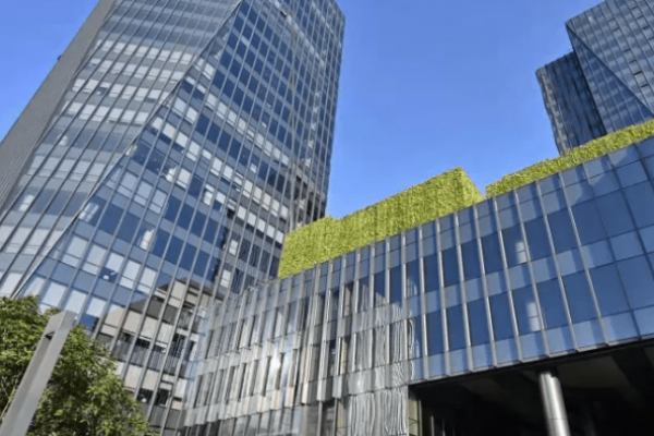 新疆伊犁某棉花采样库