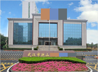 湖北省武汉洪山区检查院